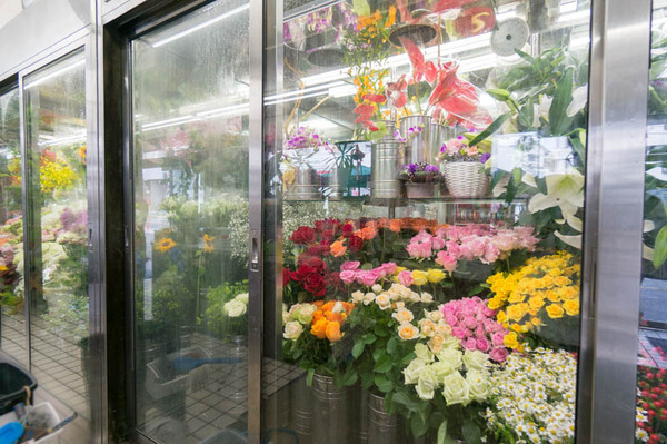 花幸花店13-1605241