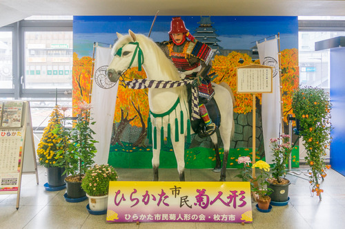 菊花展-1410311