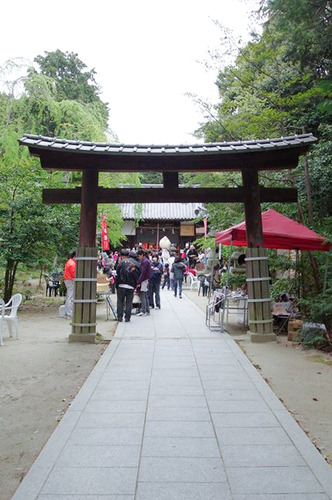 asaiku-2