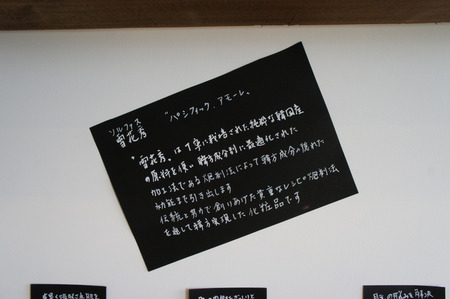 HA-n121209-19