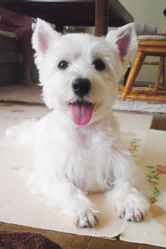 Jill③
