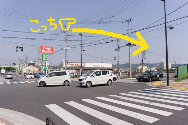 87d15781