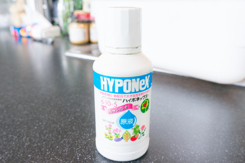 野村工務店コケ玉イベント-104