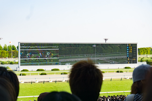 競馬-82