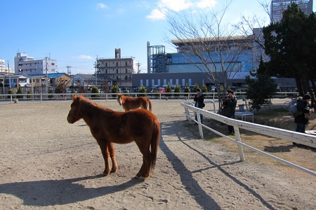 20110125IMG_0061
