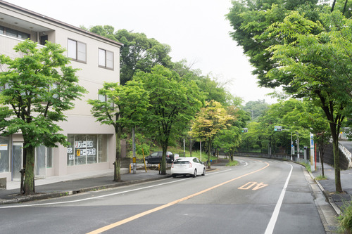 アロープラス-15051903