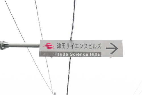 アスク-2