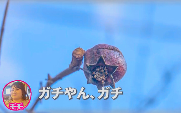 名称未設定-30