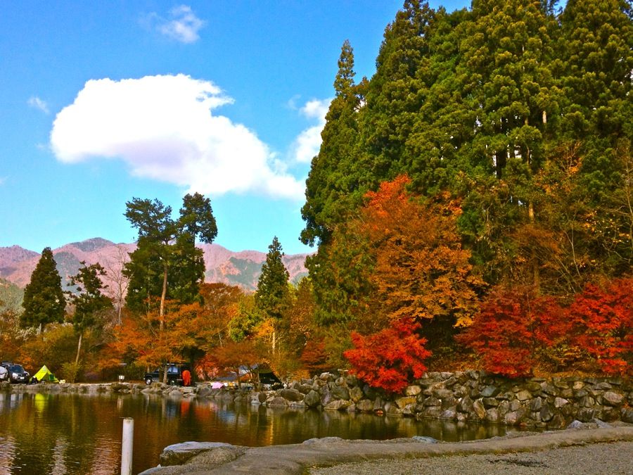 紅葉 デイキャンプ 道志の森キャンプ場 平塚日記 紅葉 デイキャンプ 道志の森キャンプ場 平塚日記