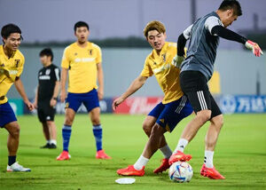 サッカーW杯