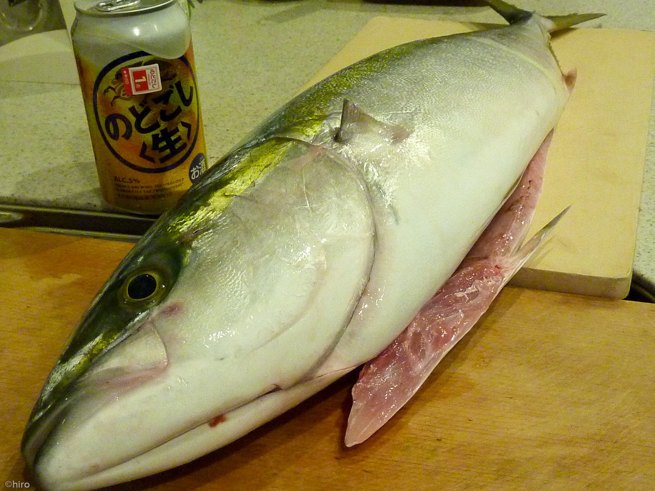 ギョギョギョ お魚キタ ﾟ ﾟ Hiroのつぶやき