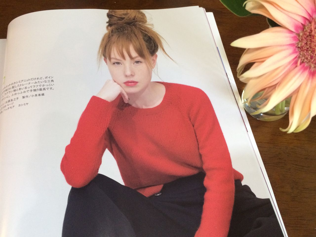 毛糸だま No.171 2016秋号」 : あみねこBlog