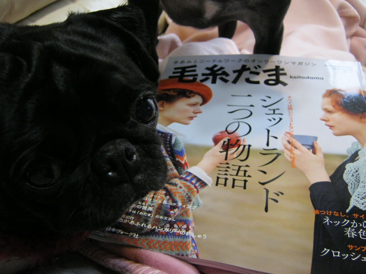 毛糸だまNo.153 2012春号」 : あみねこBlog