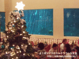 オーシャナリアムクリスマス☆