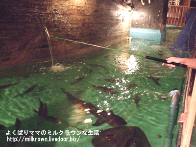 �����ߤ������ޤ���