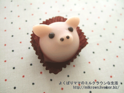 �֥�����