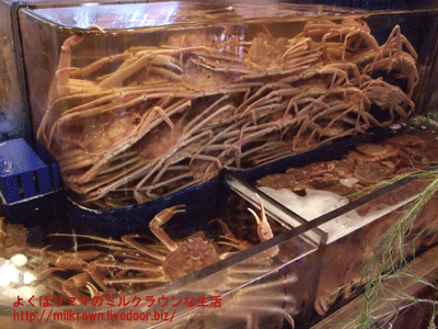 よくばりママのミルクラウンな生活 かに道楽 練馬谷原店