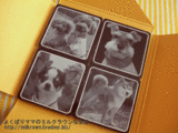 フォトショコラ