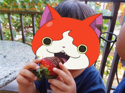 �ǥ�������