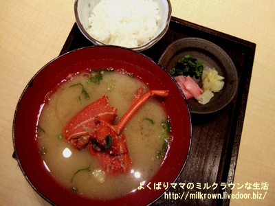 ������Ϸ��