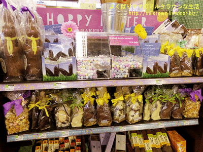 �ۡ���ա�������������