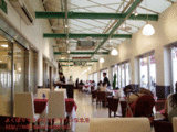 ダイゴ吉祥寺店