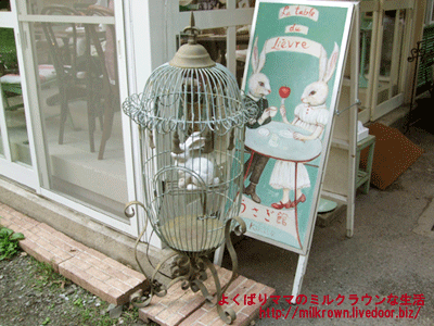 ���֥���&����