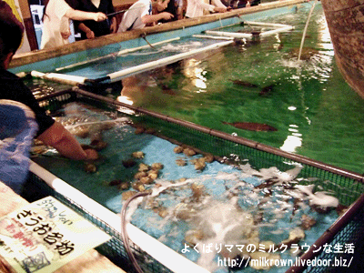 �Ҥä������