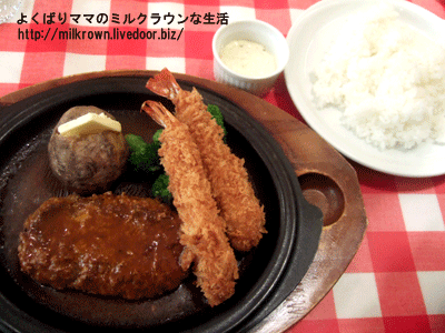 �ϥ�С��������ӥե饤