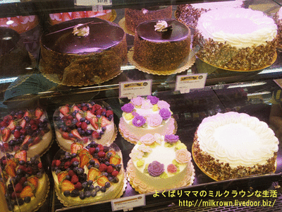 �Х饱����