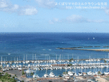 2010ハワイ旅行