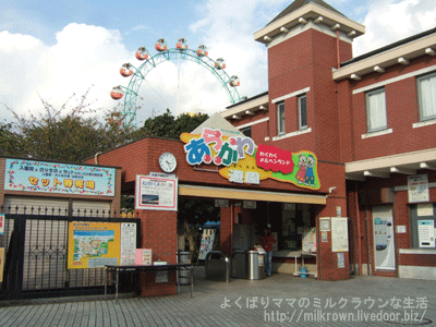 餫ͷ