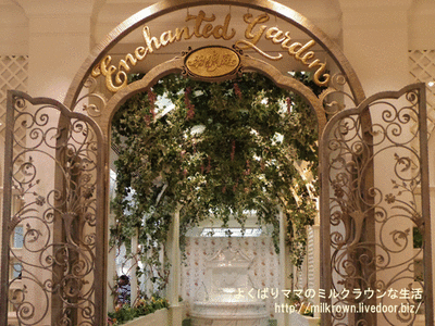 �������åȥ����ǥ�