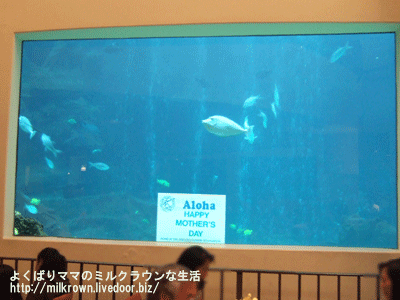 水槽の中にメッセージ