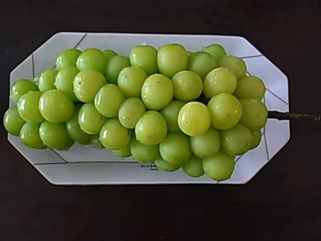 勝沼のぶどう園 Hiro330maci3のblog