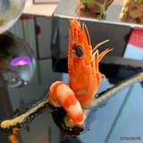 IMG_4253