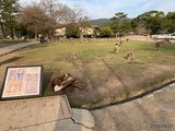 IMG_0435
