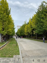 IMG_6036
