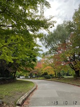IMG_6038
