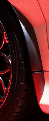 IMG_0262������9c