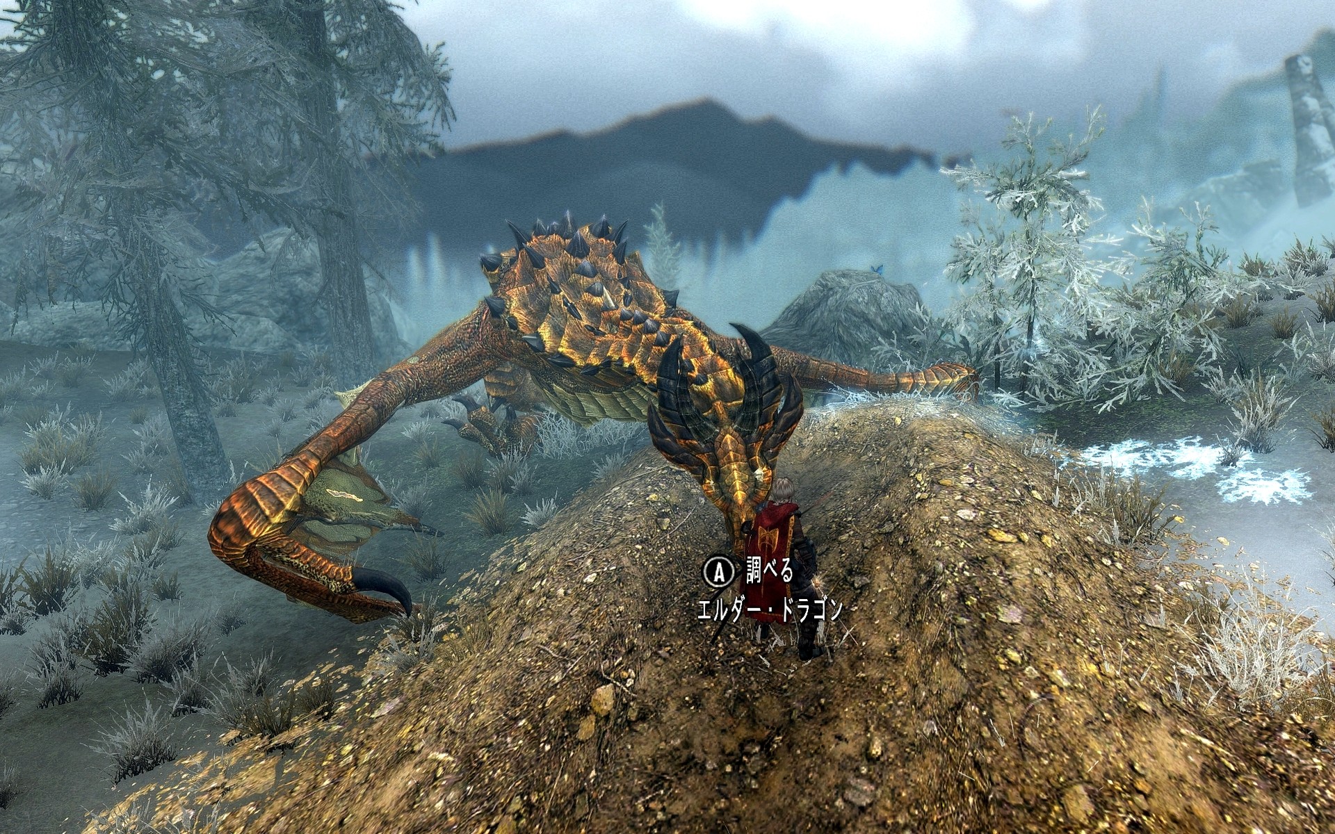 エルダードラゴン スカイリム エルダードラゴン スカイリム