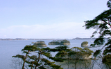 松島