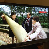 ブラタモリ復活