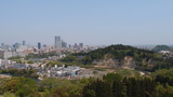 P4285599