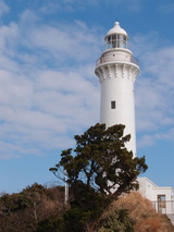 P2237226