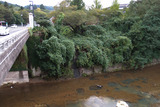ブラキムラ_2_121006