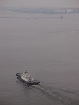 P8136220