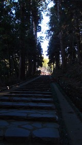 P1042037