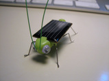 ソーラーバッタ
