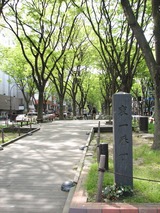IMG_0022